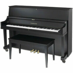 Yamaha P22