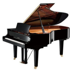 Yamaha Grand C6x