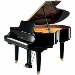 Yamaha GC2