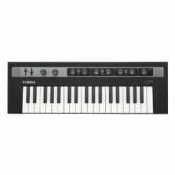Piano keyboard