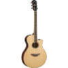 Yamaha Acoustic Guitar