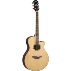 Yamaha Acoustic Guitar