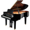 Grand Piano Enspire Pro dc3x