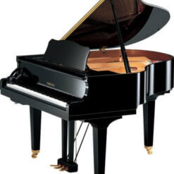 Silent Grand Piano