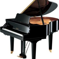 Silent Grand Piano