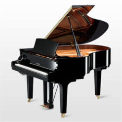 Silent Grand Piano