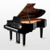 c5x Silent Piano