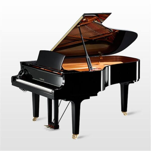 Silent Grand Piano c6x