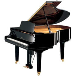 Grand Piano DGC2 Enspire
