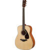 FG800M Acoustic Guitar
