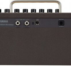 THR30IIA_Wireless_back