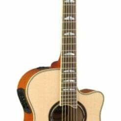 APX1000NT