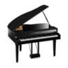 CLP-895GPPE