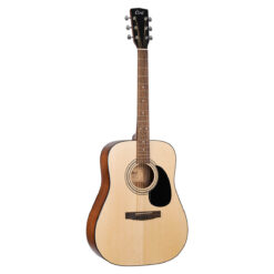 Guitare Acoustique Cort Standard AD810OP