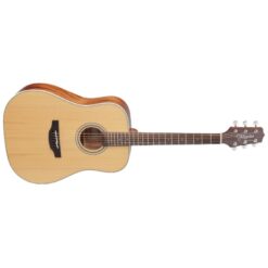 Guitare Acoustique Takamine GD20NS
