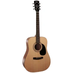 Pack Guitare Acoustique Cort Trailblazer CAP810
