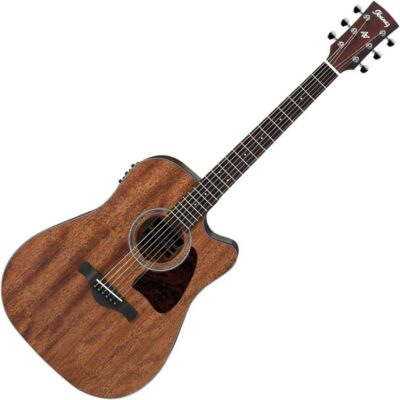 Ibanez Guitare Acoustique-Électrique – Open Pore Natural