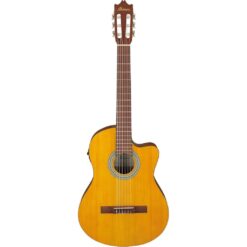 Ibanez Classical Acoustic-Electric Guitar – Open Pore Amber