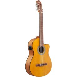 Alternative view of Ibanez Classical Acoustic-Electric Guitar – Open Pore Amber