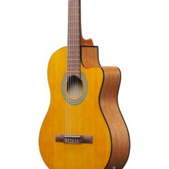 Ibanez Classical Acoustic-Electric Guitar – Open Pore Amber - Image 4