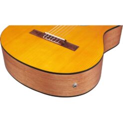 Ibanez Classical Acoustic-Electric Guitar – Open Pore Amber - Image 5