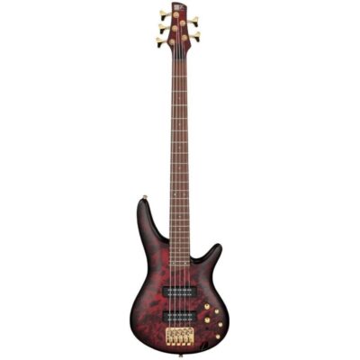 Ibanez Guitare Basse Électrique Standard 5 Cordes – Wine Red Frozen Matte