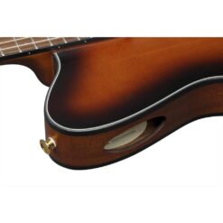 Ibanez Guitare Acoustique-Électrique Thinline à Cordes Nylon – Brown Sunburst – Image 5