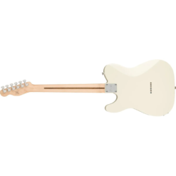 Guitare Électrique Squier Affinity Series Telecaster – Blanc Arctique, Touche Laurel – Image 3